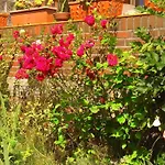 In Altengroden Mit Garten By Interhome