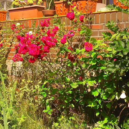 In Altengroden Mit Garten By Interhome